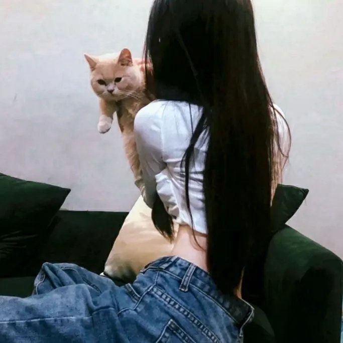 彼得的龙