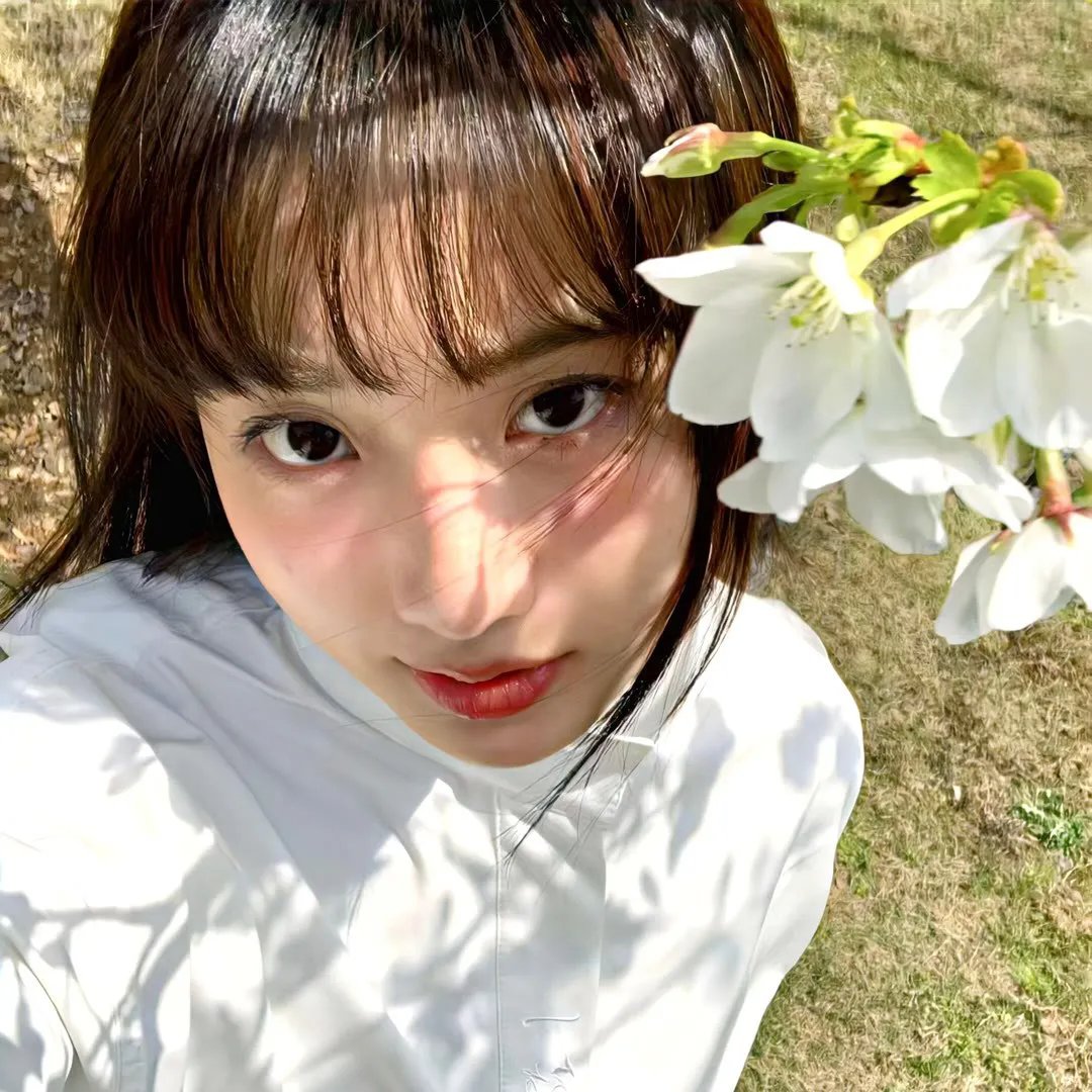 全面回忆