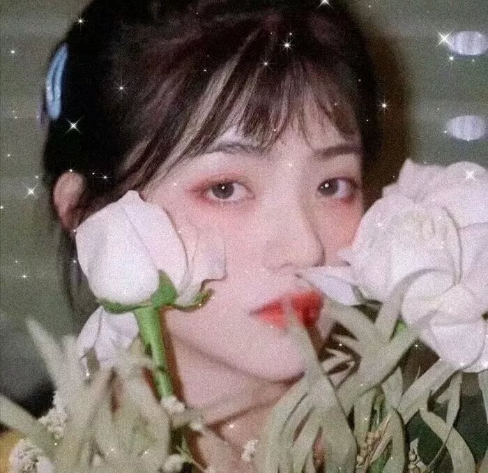 莎乐美的七重纱